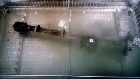 Cyfrowy timer grzałki ze stali nierdzewnej Przemysłowy Części samochodowe Myjka ultradźwiękowa Jp-480st